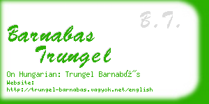 barnabas trungel business card